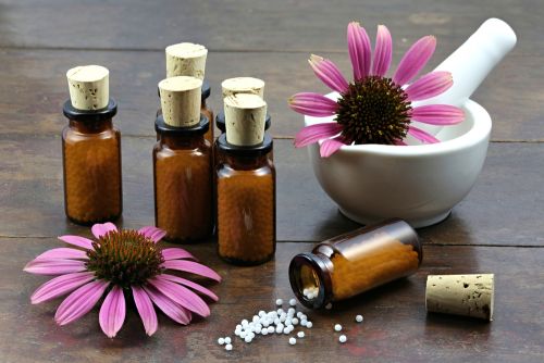 Strengthen your body naturally with… echinacea