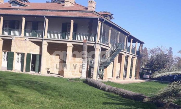 NICOSIA-INCREDIBLE EVENT: A huge palm tree fell in the yard of the Ministry! (PHOTO)