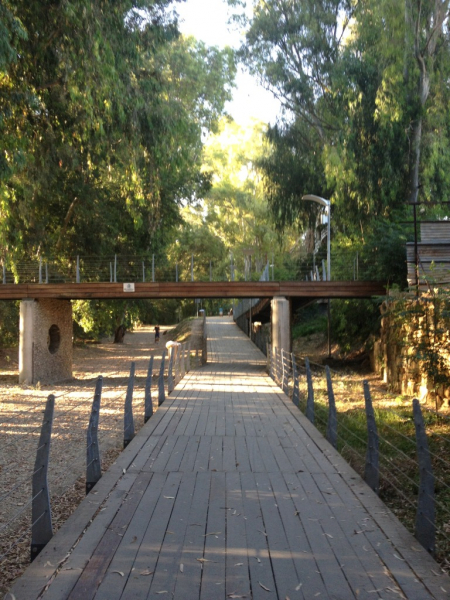 From Lakatamia to Pallouriotissa - One of the largest cycling networks in Nicosia is gradually taking on flesh and blood