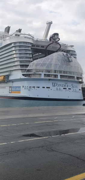 The largest cruise ship in the world in Limassol (images)