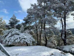 Pictures of another Cyprus: Photos of the snowy villages - New cold is coming from Sunday