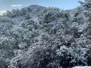 Pictures of another Cyprus: Photos of the snowy villages - New cold is coming from Sunday