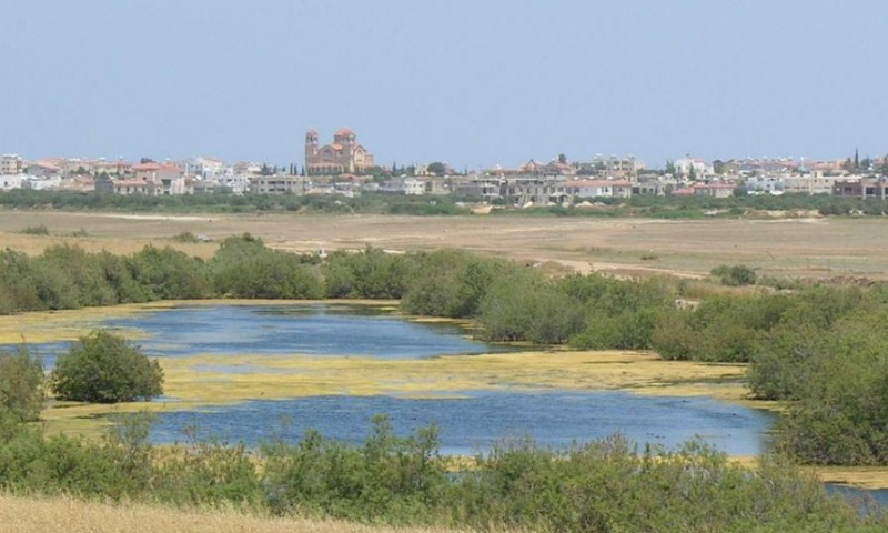 Stroll to the most important Cypriot wetlands and then eat