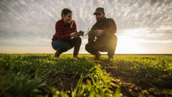 Sponsorships up to € 50,000 to young farmers