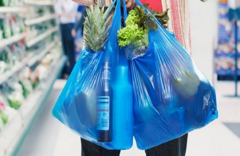 The Parliament voted to ban the sale of a thin plastic carrying bag