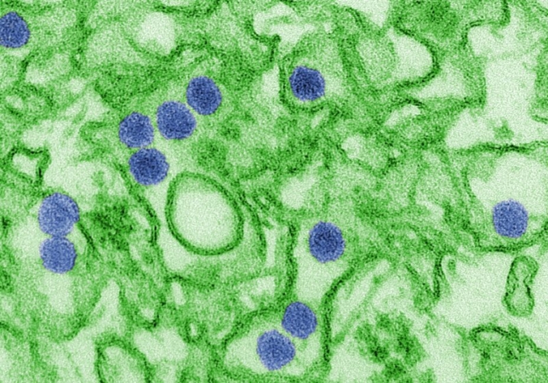 ΜοιραΙα ελξη: Πoσ &omicron ;ρισμéνοι ιοΙ κανουν τους ανθρoπο υς ακαταμàχητους για τα κουνοπ ια
