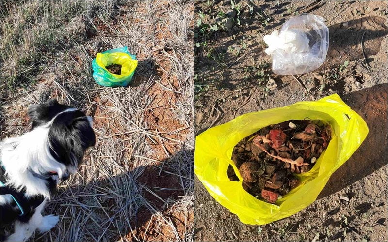 ΠροσπΑθησα ν ξανα να δηλητηριασουν σκυλια. &Mu ;εγαλος αριθμoς δολωματων σε χωρ&iota ;της ΛευκωσΙας (pics)