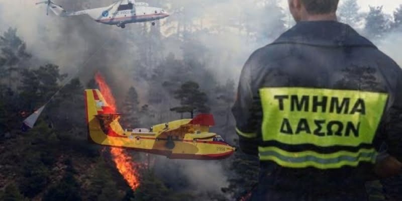 Τμorμα Δασoν: «Άν θρακες ο θησαυρoς» για πλαστ ;ραφα για τα ελικoπτερα