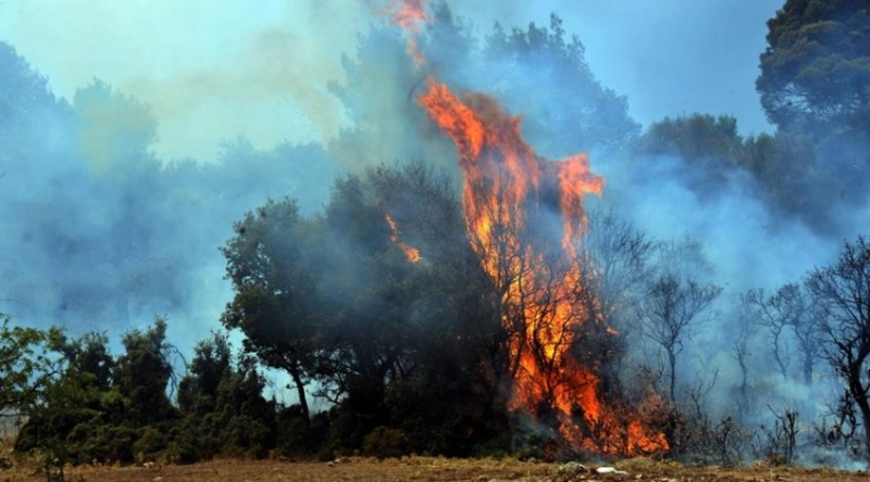 Πυρκαγιστο κρατικδσος στον Κτω Αμiαντο-&Pi ρoλαβε τα χειρoτερα το Τμorμα Δασo&nu 