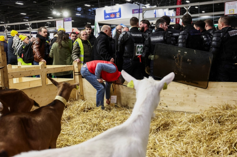 Angry French farmers storm into agriculture fair in Paris [PHOTOS]